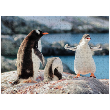 puzzleplate Strongster Gentoo Penguin Cute Funny Baby Chick Mama Penguins Colony Cold Wild Life Creatures Antarctica 300 Jigsaw Puzzle