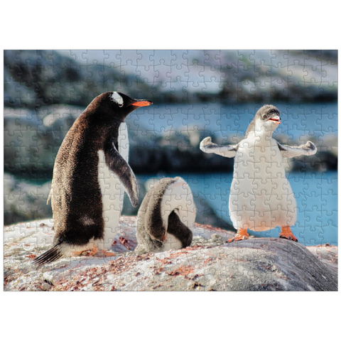 puzzleplate Strongster Gentoo Penguin Cute Funny Baby Chick Mama Penguins Colony Cold Wild Life Creatures Antarctica 300 Jigsaw Puzzle