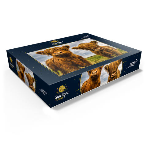 Two Highland Cows 300 Jigsaw Puzzle box view1