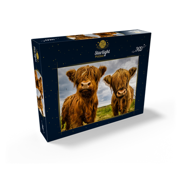 Two Highland Cows 300 Jigsaw Puzzle box view2