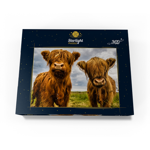 Two Highland Cows 300 Jigsaw Puzzle box view3