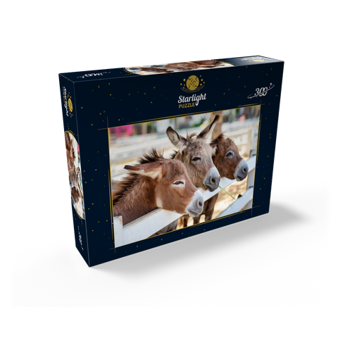 Three donkeys on the farm 300 Jigsaw Puzzle box view2