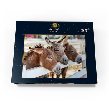 Three donkeys on the farm 300 Jigsaw Puzzle box view3