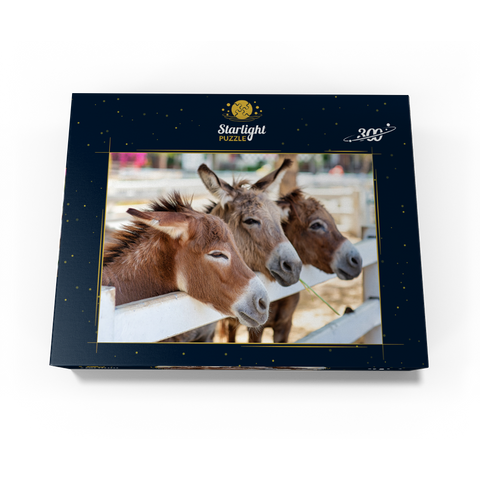 Three donkeys on the farm 300 Jigsaw Puzzle box view3