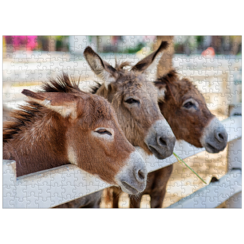 puzzleplate Three donkeys on the farm 300 Jigsaw Puzzle