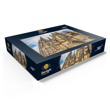 Cologne Cathedral in Germany 300 Jigsaw Puzzle box view1