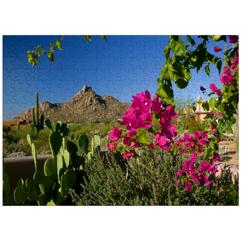 puzzleplate Bougainvillea with Pinnacle Peak, Scottsdale, Arizona, USA 300 Jigsaw Puzzle