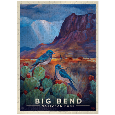 puzzleplate Big Bend National Park: Birds, Vintage Poster 300 Jigsaw Puzzle