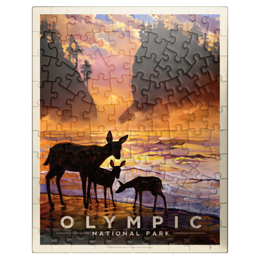 puzzleplate Olympic National Park: Magical Moment, Vintage Poster 100 Jigsaw Puzzle