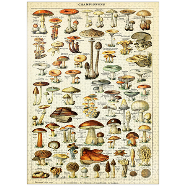 puzzleplate Champignons - Mushrooms For All, Vintage Art Poster, Adolphe Millot 1000 Jigsaw Puzzle