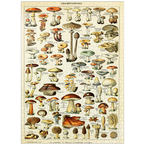 puzzleplate Champignons - Mushrooms For All, Vintage Art Poster, Adolphe Millot 1000 Jigsaw Puzzle