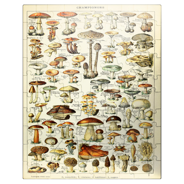 puzzleplate Champignons - Mushrooms For All, Vintage Art Poster, Adolphe Millot 100 Jigsaw Puzzle