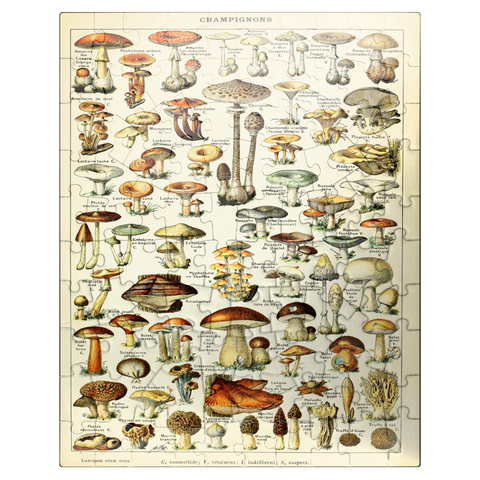 puzzleplate Champignons - Mushrooms For All, Vintage Art Poster, Adolphe Millot 100 Jigsaw Puzzle