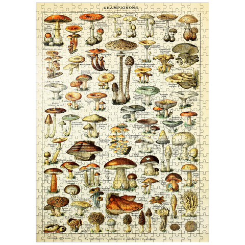 puzzleplate Champignons - Mushrooms For All, Vintage Art Poster, Adolphe Millot 500 Jigsaw Puzzle