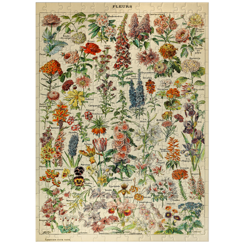 puzzleplate Fleurs - Flowers For All, Vintage Art Poster, Adolphe Millot 300 Jigsaw Puzzle
