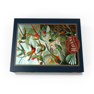Hummingbirds and Trochilidae (Hummingbirds), Vintage Art Poster, Ernst Haeckel 1000 Jigsaw Puzzle box view1
