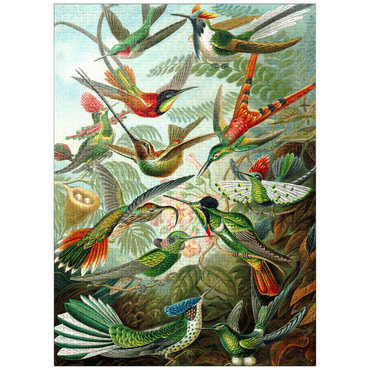puzzleplate Hummingbirds and Trochilidae (Hummingbirds), Vintage Art Poster, Ernst Haeckel 1000 Jigsaw Puzzle