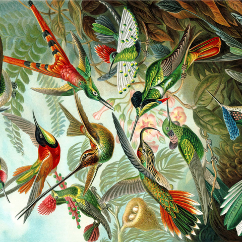 Hummingbirds and Trochilidae (Hummingbirds), Vintage Art Poster, Ernst Haeckel 1000 Jigsaw Puzzle 3D Modell