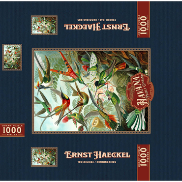 Hummingbirds and Trochilidae (Hummingbirds), Vintage Art Poster, Ernst Haeckel 1000 Jigsaw Puzzle box 3D Modell