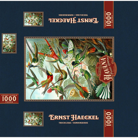 Hummingbirds and Trochilidae (Hummingbirds), Vintage Art Poster, Ernst Haeckel 1000 Jigsaw Puzzle box 3D Modell