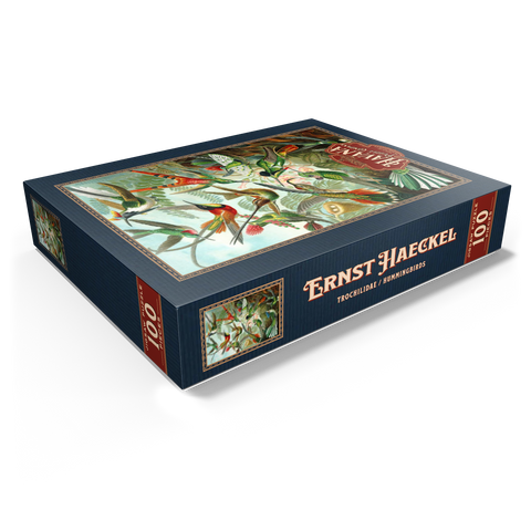 Hummingbirds and Trochilidae (Hummingbirds), Vintage Art Poster, Ernst Haeckel 100 Jigsaw Puzzle box view1