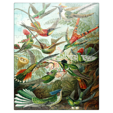 puzzleplate Hummingbirds and Trochilidae (Hummingbirds), Vintage Art Poster, Ernst Haeckel 100 Jigsaw Puzzle