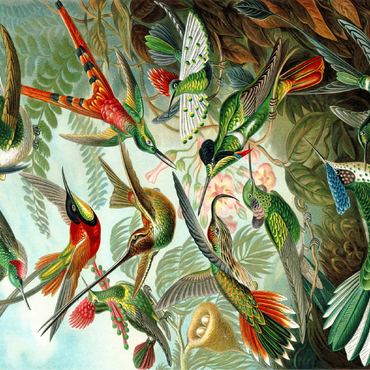 Hummingbirds and Trochilidae (Hummingbirds), Vintage Art Poster, Ernst Haeckel 100 Jigsaw Puzzle 3D Modell