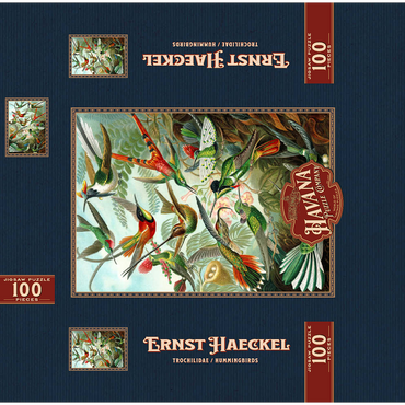 Hummingbirds and Trochilidae (Hummingbirds), Vintage Art Poster, Ernst Haeckel 100 Jigsaw Puzzle box 3D Modell