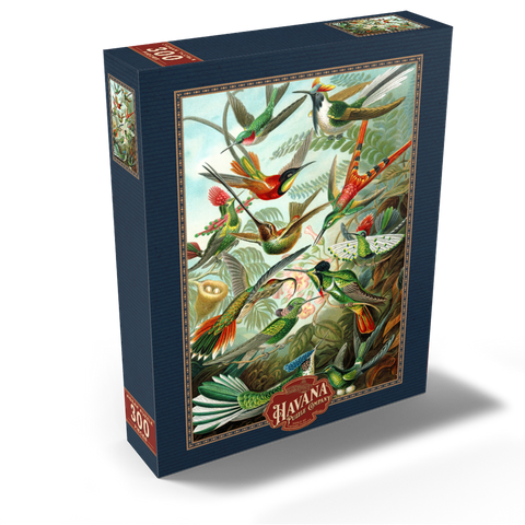 Hummingbirds and Trochilidae, Vintage Art Poster, Ernst Haeckel 300 Jigsaw Puzzle box view2