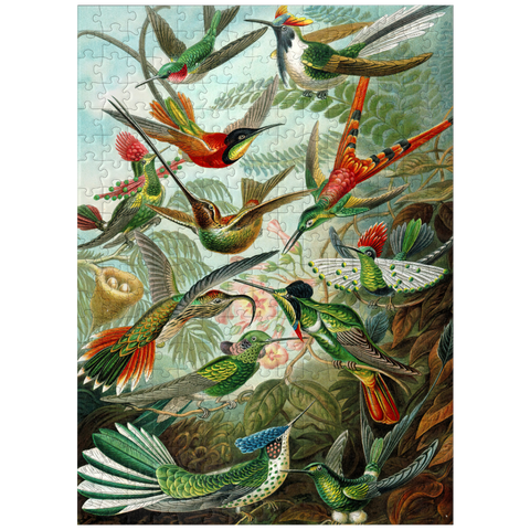 puzzleplate Hummingbirds and Trochilidae, Vintage Art Poster, Ernst Haeckel 300 Jigsaw Puzzle