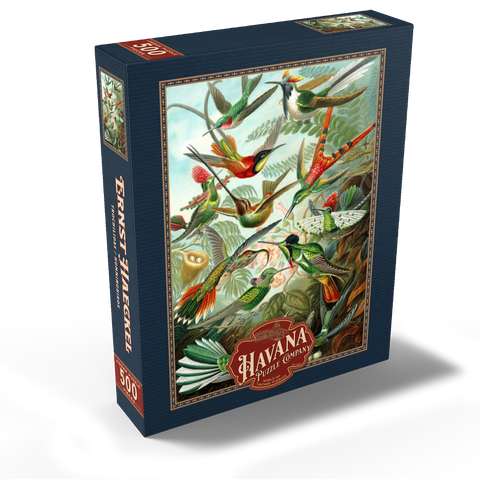 Hummingbirds and Trochilidae (Hummingbirds), Vintage Art Poster, Ernst Haeckel 500 Jigsaw Puzzle box view1