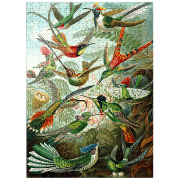 puzzleplate Hummingbirds and Trochilidae (Hummingbirds), Vintage Art Poster, Ernst Haeckel 500 Jigsaw Puzzle