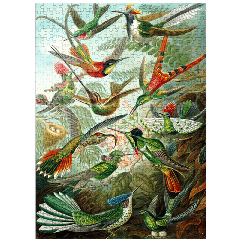 puzzleplate Hummingbirds and Trochilidae (Hummingbirds), Vintage Art Poster, Ernst Haeckel 500 Jigsaw Puzzle