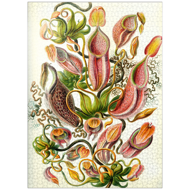 puzzleplate Nepenthaceae - Pitcher Plant, Vintage Art Poster, Ernst Haeckel 1000 Jigsaw Puzzle