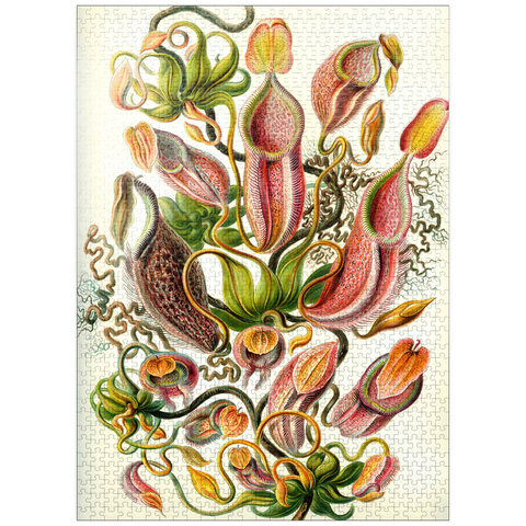 puzzleplate Nepenthaceae - Pitcher Plant, Vintage Art Poster, Ernst Haeckel 1000 Jigsaw Puzzle