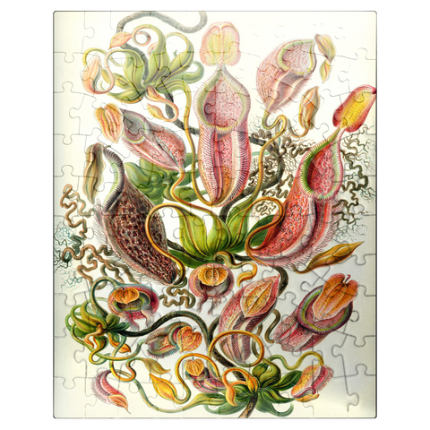 puzzleplate Nepenthaceae - Pitcher Plant, Vintage Art Poster, Ernst Haeckel 100 Jigsaw Puzzle