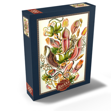 Nepenthaceae - Pitcher Plant, Vintage Art Poster, Ernst Haeckel 300 Jigsaw Puzzle box view2