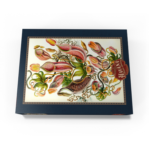 Nepenthaceae - Pitcher Plant, Vintage Art Poster, Ernst Haeckel 300 Jigsaw Puzzle box view3