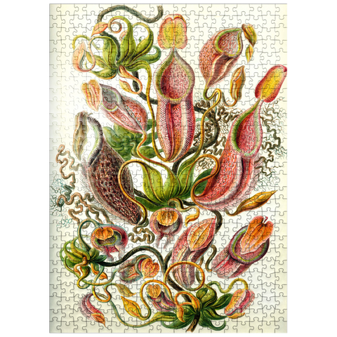 puzzleplate Nepenthaceae - Pitcher Plant, Vintage Art Poster, Ernst Haeckel 500 Jigsaw Puzzle