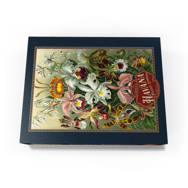 Orchid - Nature Art Forms, Vintage Art Poster, Ernst Haeckel 1000 Jigsaw Puzzle box view1