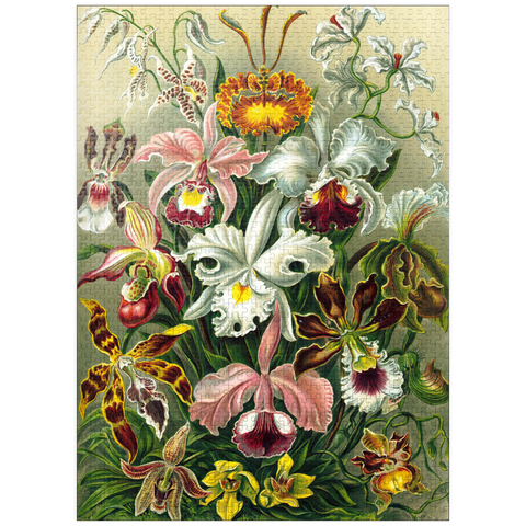 puzzleplate Orchid - Nature Art Forms, Vintage Art Poster, Ernst Haeckel 1000 Jigsaw Puzzle