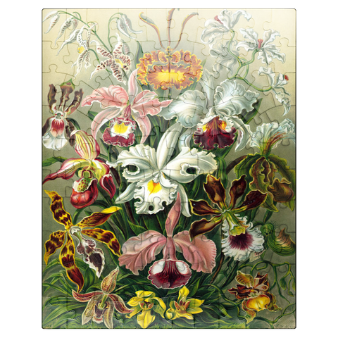 puzzleplate Orchid - Nature Art Forms, Vintage Art Poster, Ernst Haeckel 100 Jigsaw Puzzle