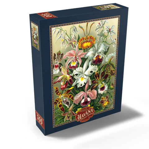 Orchid - Nature Art Forms, Vintage Art Poster, Ernst Haeckel 300 Jigsaw Puzzle box view2