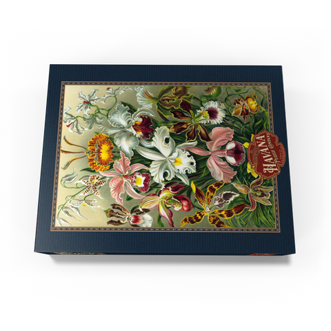 Orchid - Nature Art Forms, Vintage Art Poster, Ernst Haeckel 300 Jigsaw Puzzle box view3