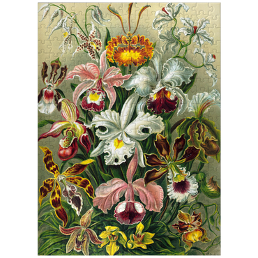 puzzleplate Orchid - Nature Art Forms, Vintage Art Poster, Ernst Haeckel 300 Jigsaw Puzzle
