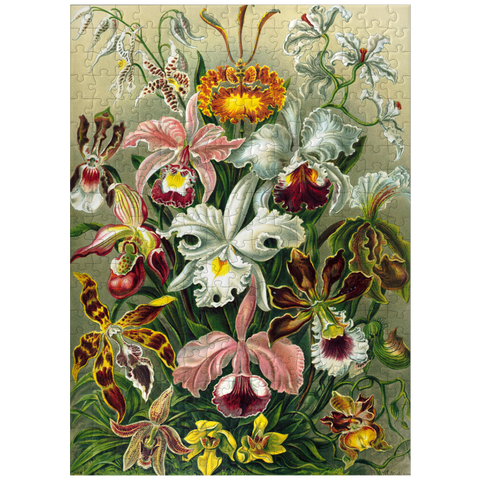 puzzleplate Orchid - Nature Art Forms, Vintage Art Poster, Ernst Haeckel 300 Jigsaw Puzzle