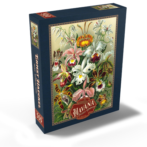 Orchid - Nature Art Forms, Vintage Art Poster, Ernst Haeckel 500 Jigsaw Puzzle box view1