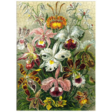 puzzleplate Orchid - Nature Art Forms, Vintage Art Poster, Ernst Haeckel 500 Jigsaw Puzzle