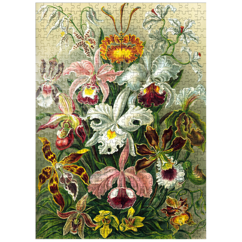 puzzleplate Orchid - Nature Art Forms, Vintage Art Poster, Ernst Haeckel 500 Jigsaw Puzzle
