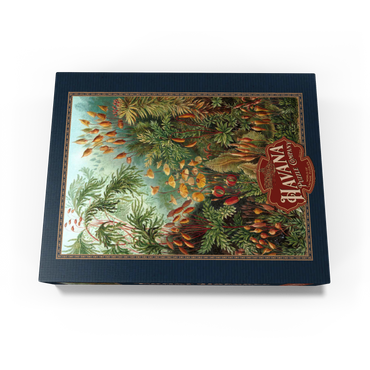 Moss (Muscinae) - Art Forms in Nature, Vintage Art Poster, Ernst Haeckel 1000 Jigsaw Puzzle box view1